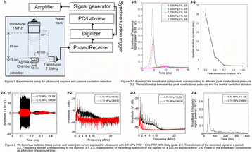Fig. 1 (abstract P16).