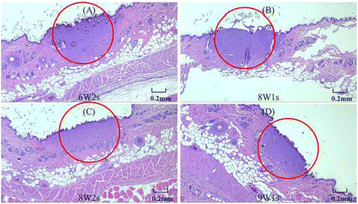 Fig. 3 (abstract P20).