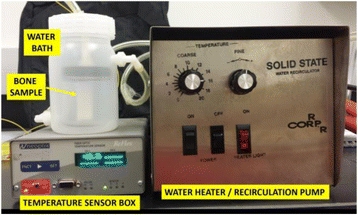 Fig. 1 (abstract P44).