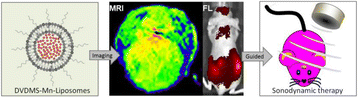 Fig. 1 (abstract P46).