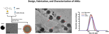 Fig. 2 (abstract P52).