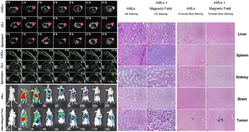 Fig. 4 (abstract P52).