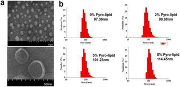 Fig. 1 (abstract P58).