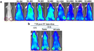 Fig. 4 (abstract P58).