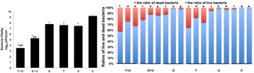 Fig. 2 (abstract P60).