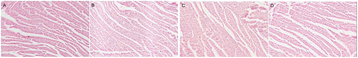 Fig. 3 (abstract O18).