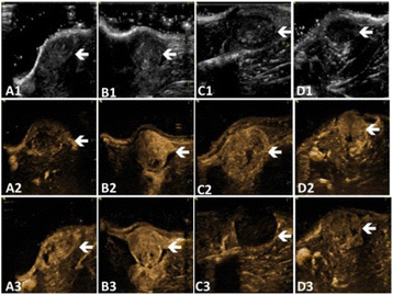 Fig. 1 (abstract P80).