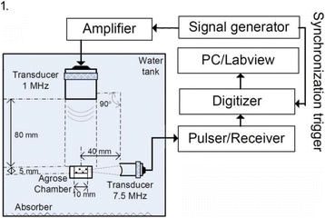 Fig. 1 (abstract P82).