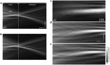 Fig. 2 (abstract O20).