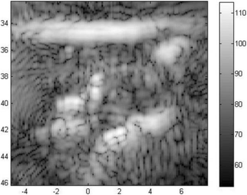 Fig. 4 (abstract O24).