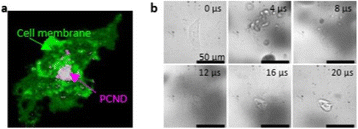 Fig. 1 (abstract O34).