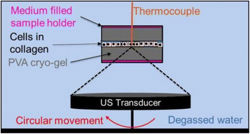 Fig. 1 (abstract O52).