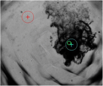 Fig. 1 (abstract O8).