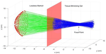 Fig. 1 (abstract O55).