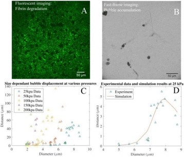 Fig. 1 (abstract O57).