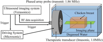 Fig. 1 (abstract O64).