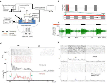 Fig. 1 (abstract O70).