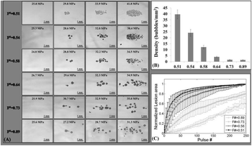 Fig. 1 (abstract O72).