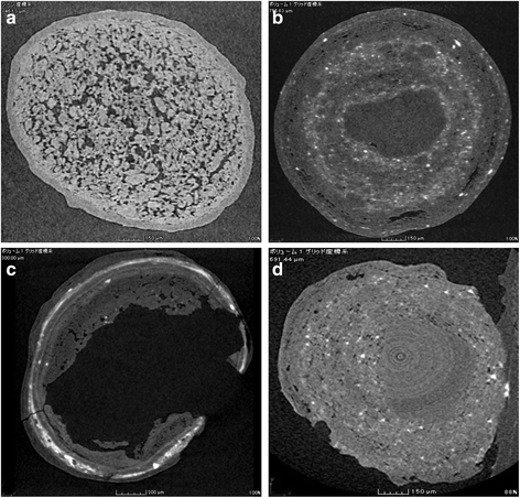 Fig. 8