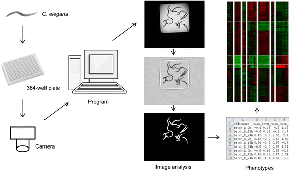 Fig. 5