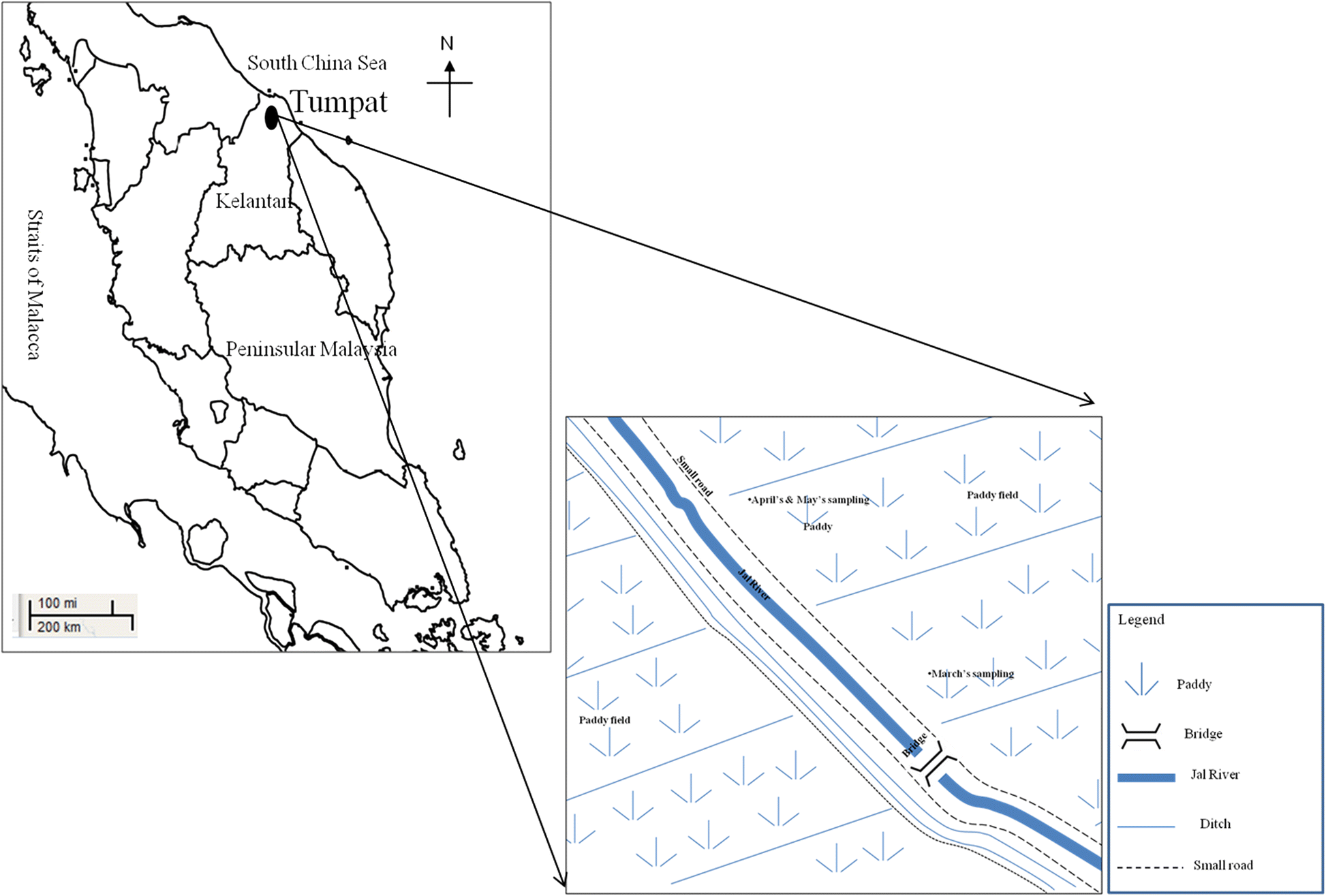 Fig. 1