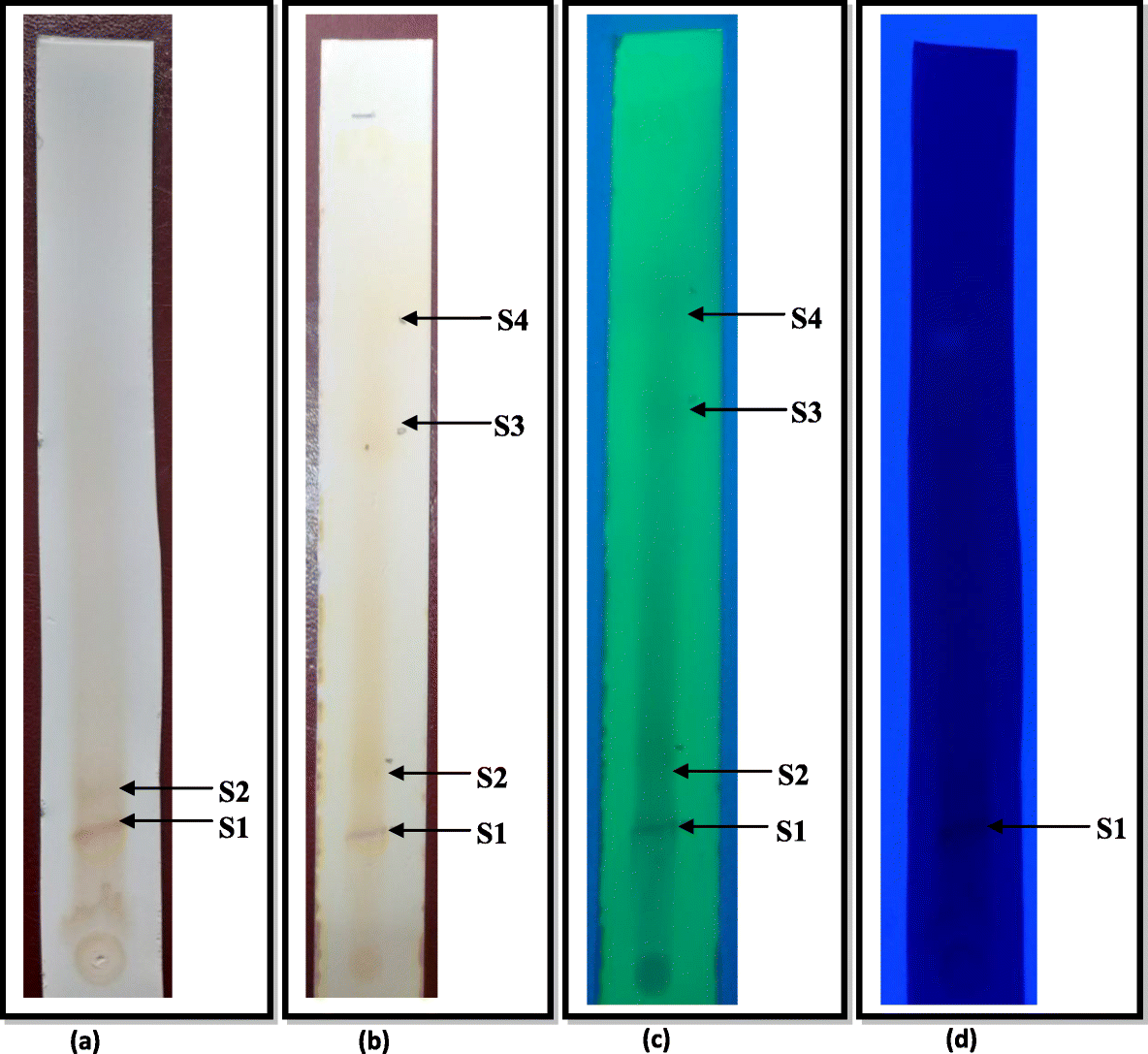 Fig. 3