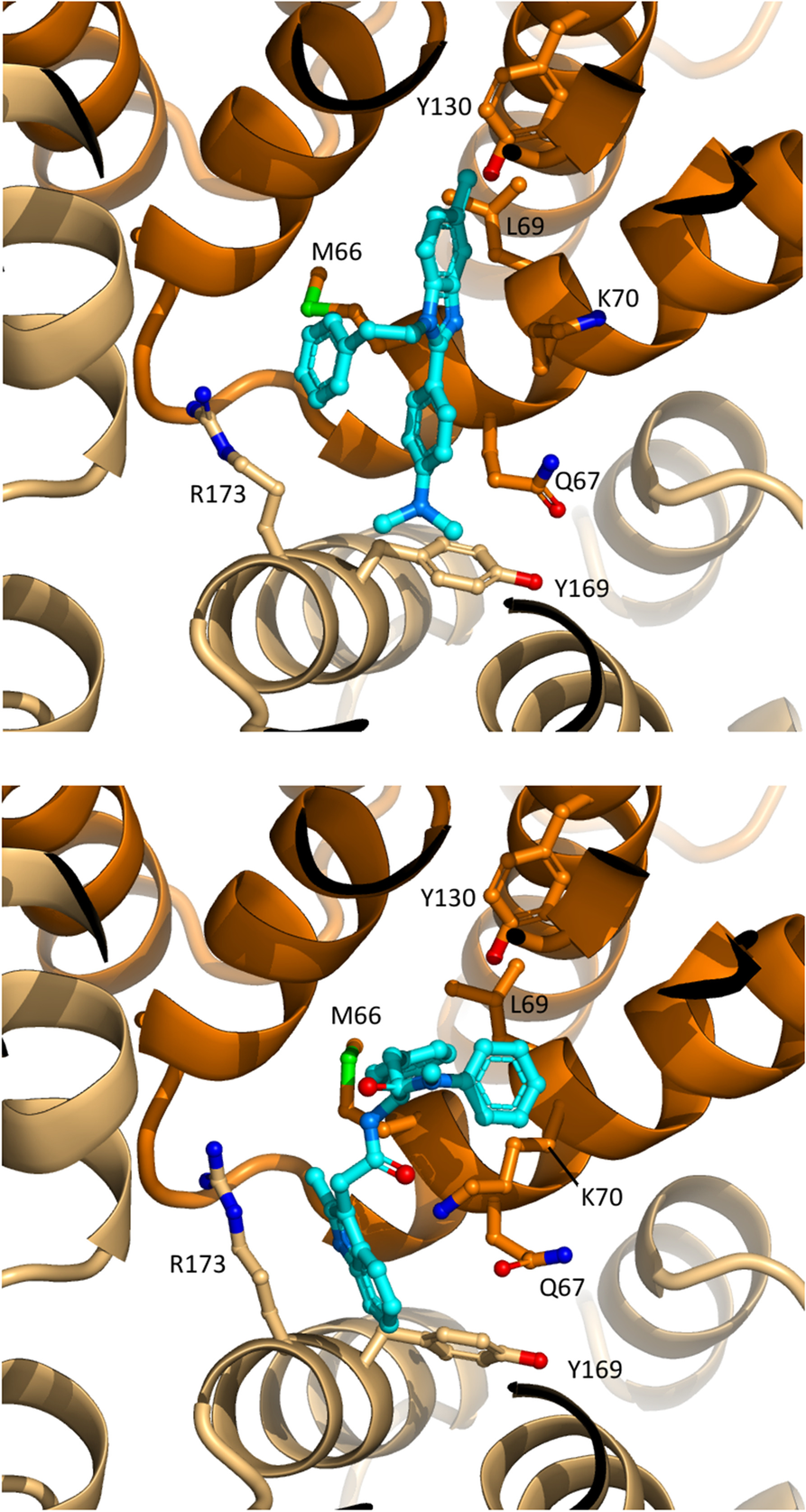 Fig. 7