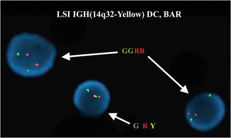 Fig. 4