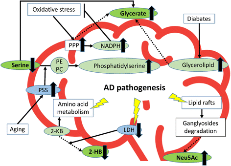 Fig. 6