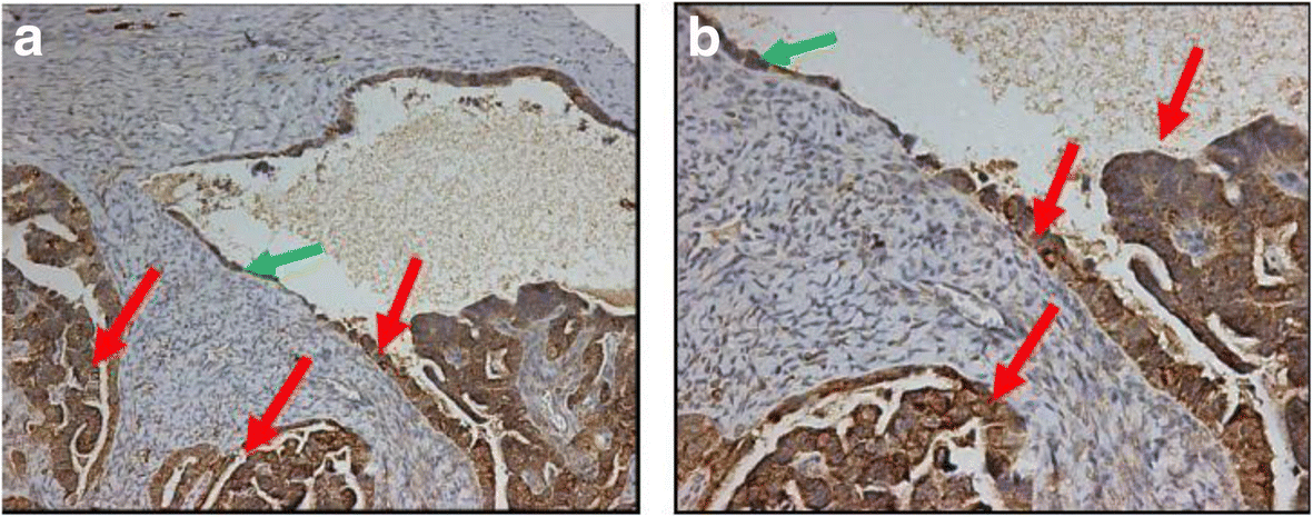 Fig. 8