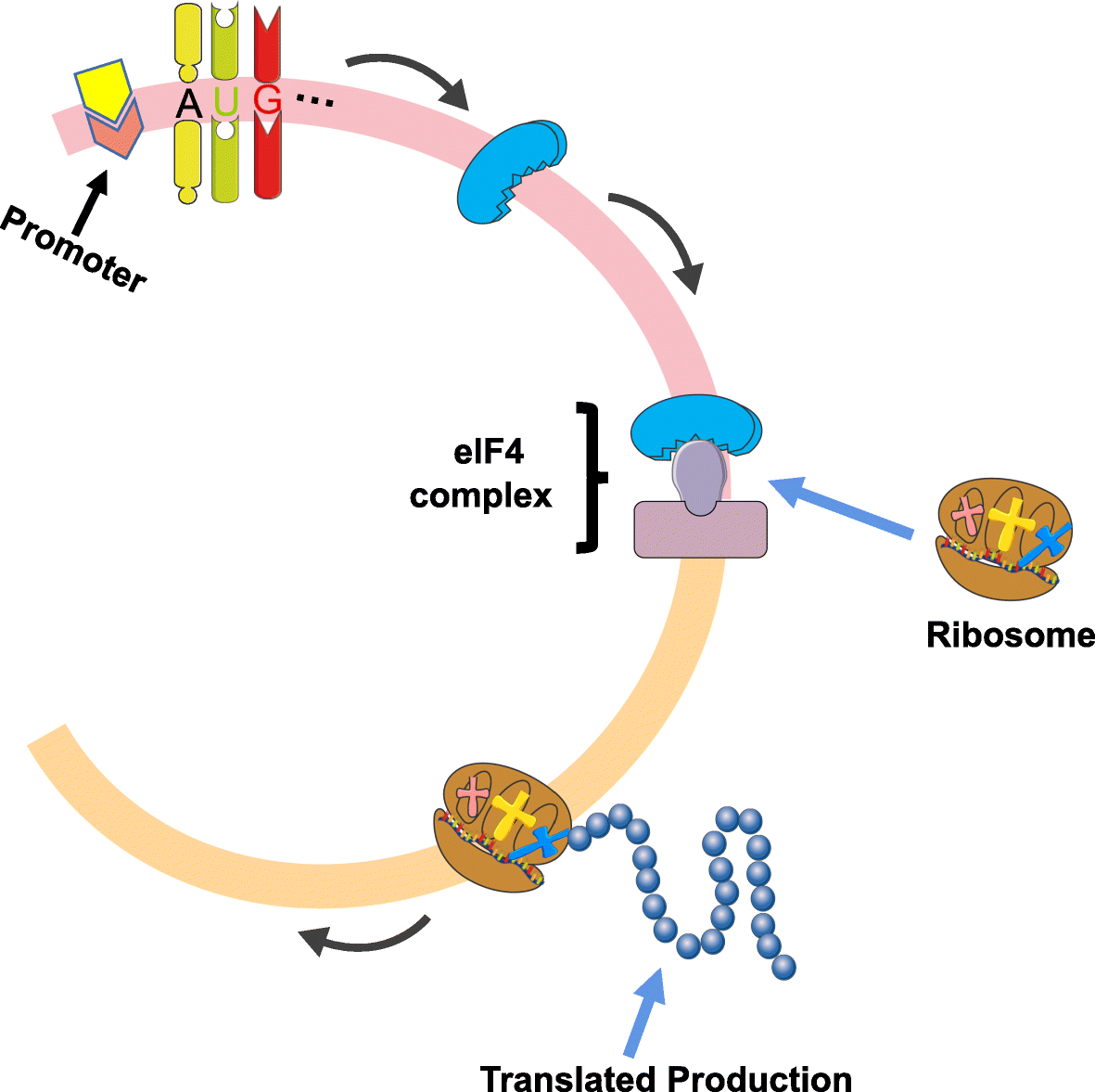 Fig. 2