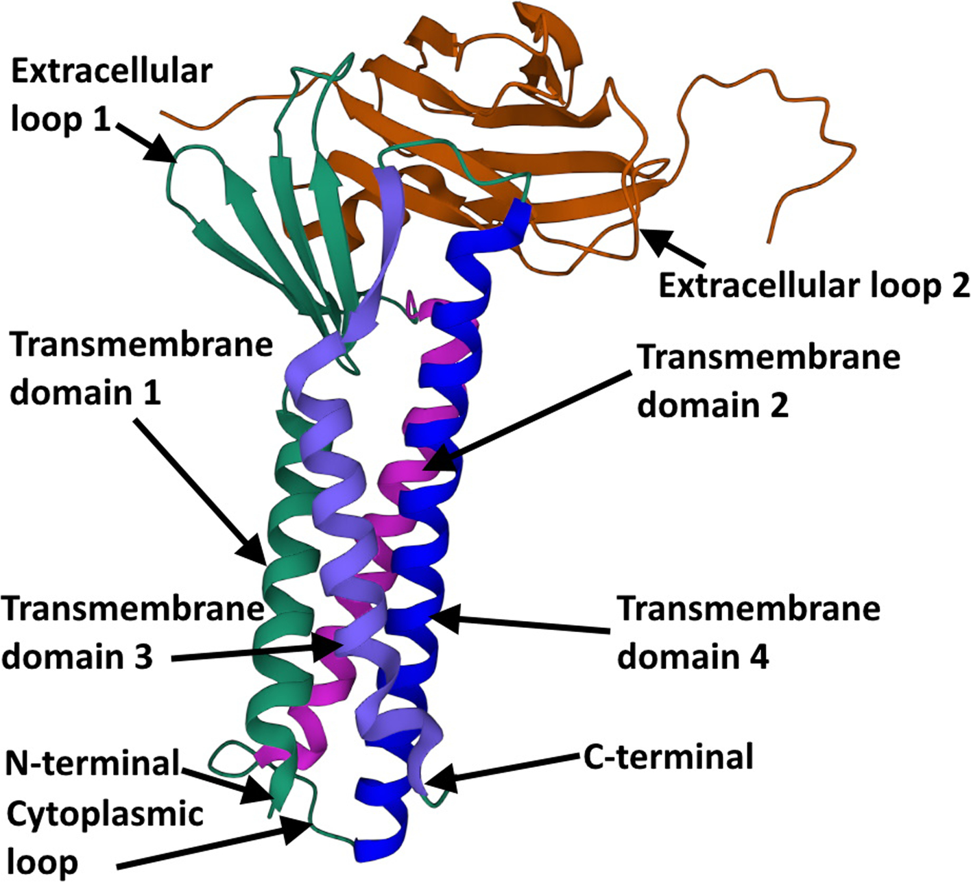 Fig. 4