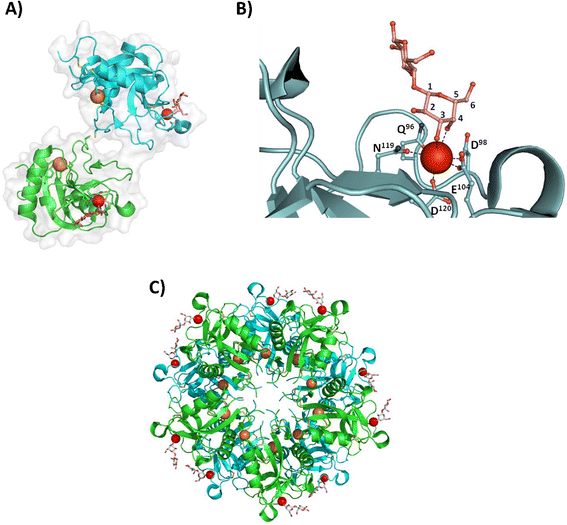 Fig. 2