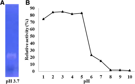 Fig. 8