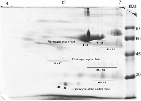 Fig. 10