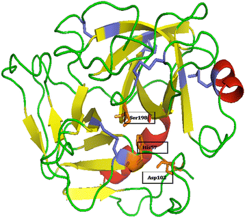 Fig. 3