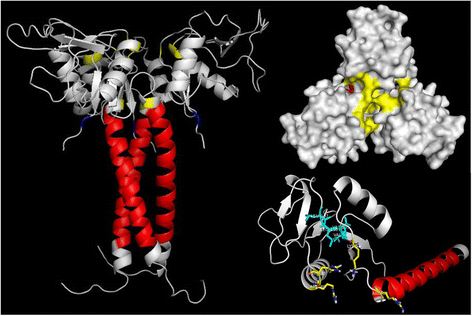 Fig. 1