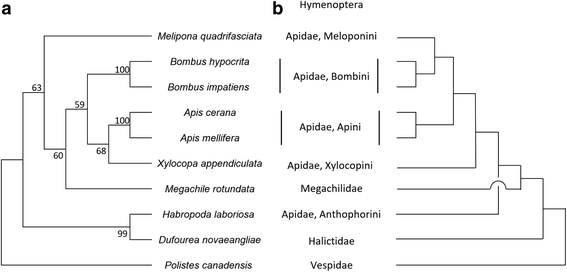 Fig. 9