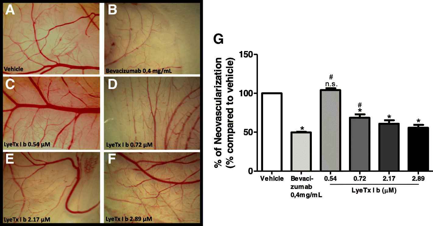 Fig. 10