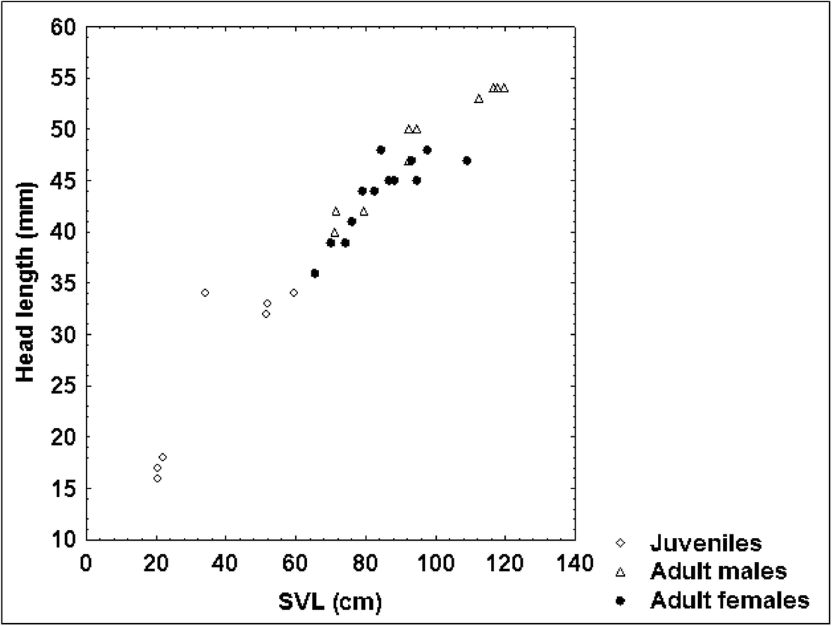 Fig. 10