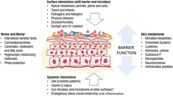 Skin and Microbiome linkages