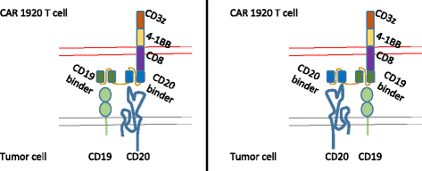 Fig. 11