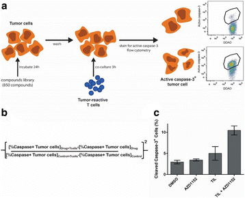 Fig. 1 (abstract P389).