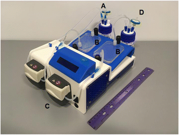 Fig. 1 (abstract P190).