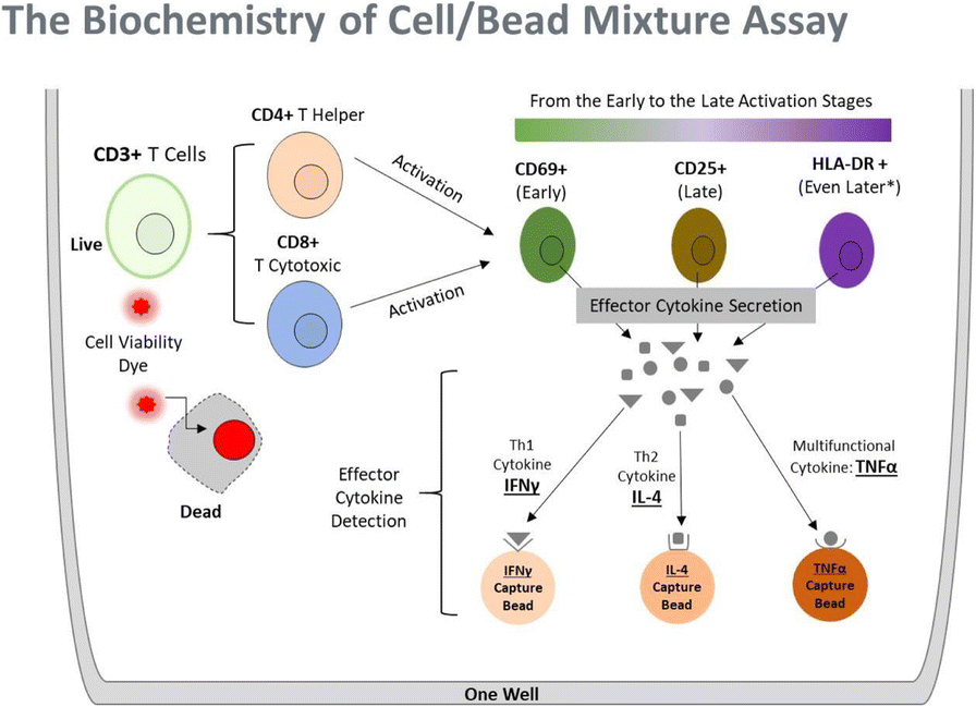 Fig. 1 (abstract P80).