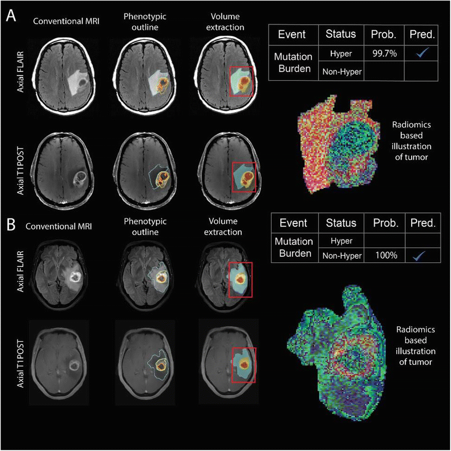 Fig. 4 (abstract P432).