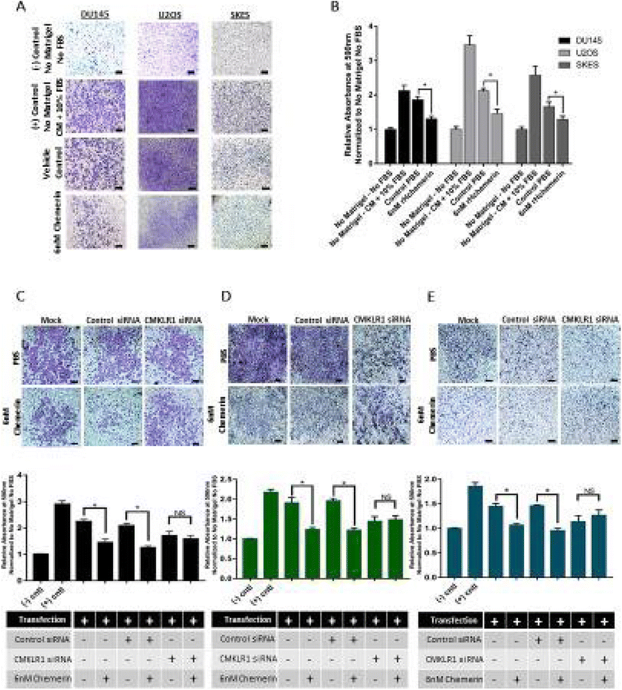 Fig. 2 (abstract P579).