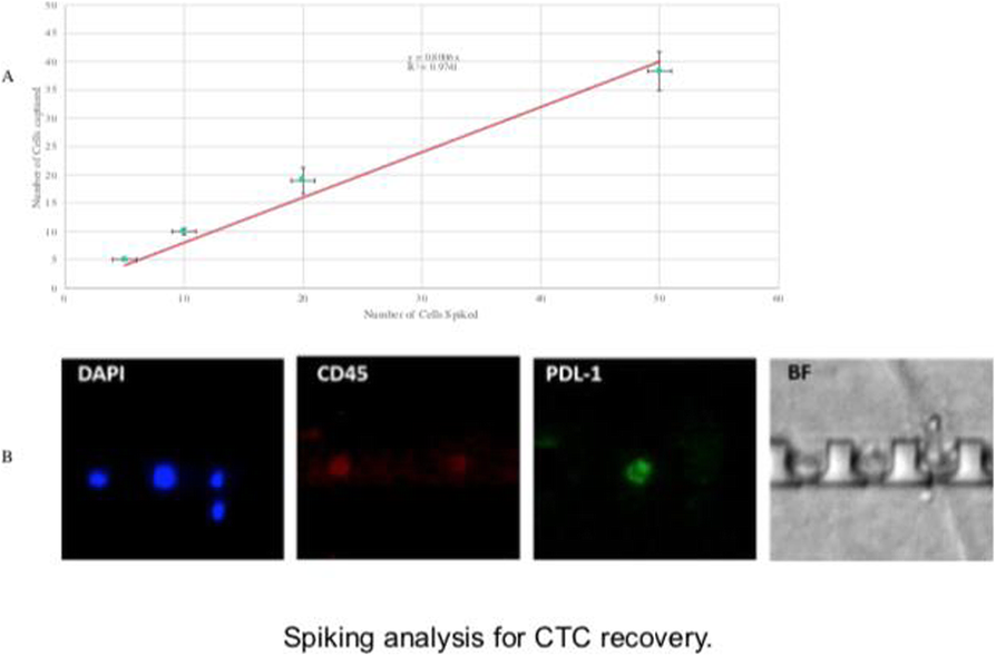 Fig. 1 (abstract P802).