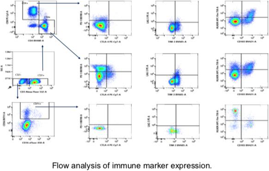 Fig. 2 (abstract P802).