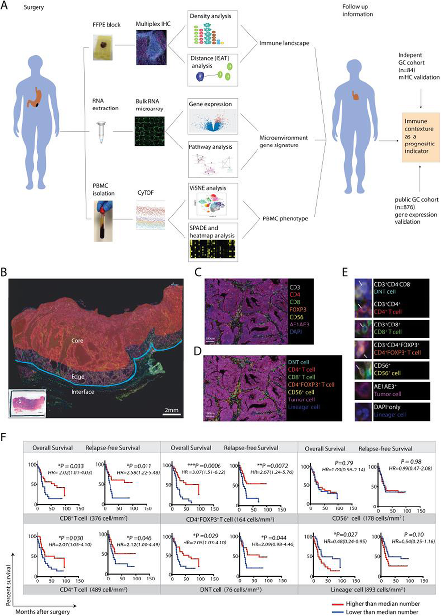Fig. 1 (abstract P825).